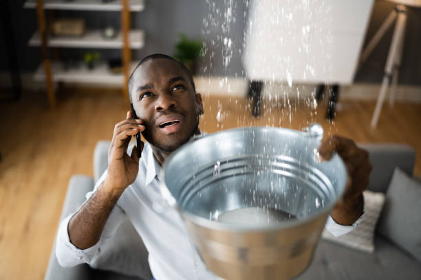 Best Sewage cleanup and water damage restoration  in Burke, VA