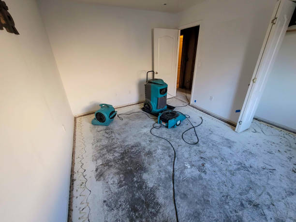Best 24/7 water damage repair  in Burke, VA