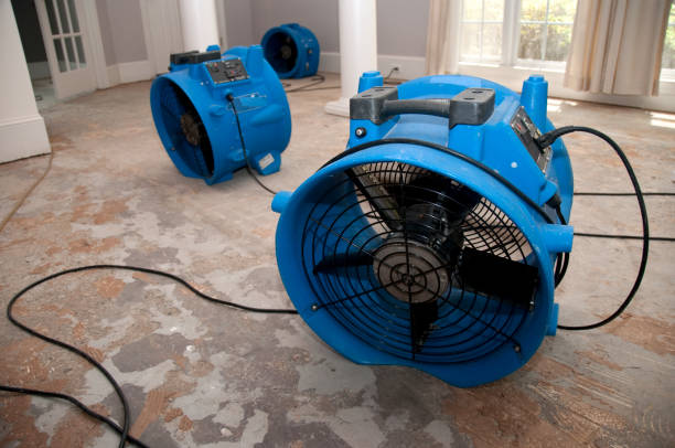 Best Ceiling water damage repair  in Burke, VA
