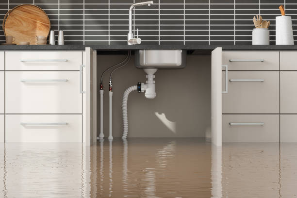 Best Water damage restoration near me  in Burke, VA